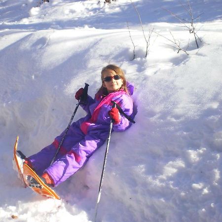 Willa Au Studi'O Saint-Bonnet-en-Champsaur Zewnętrze zdjęcie
